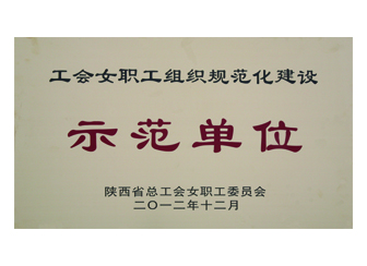 2012年获陕西省工会女职工组织规范化建设“树模单位”