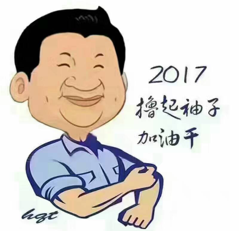 2017年，“各人撸起袖子加油干”！